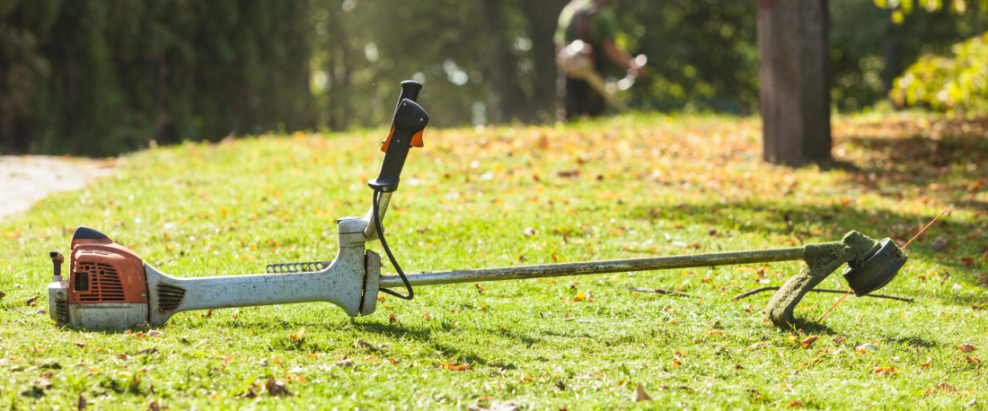 Обираємо тримери для саду. Різниця тримерів і мотокос
