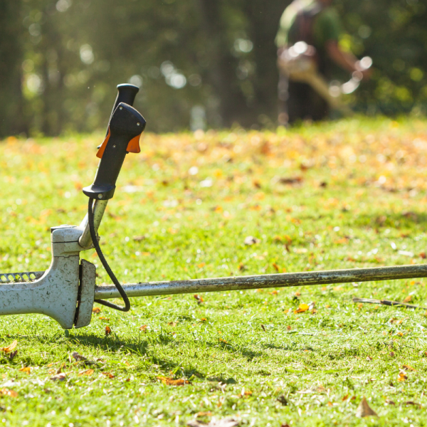 Обираємо тримери для саду. Різниця тримерів і мотокос
