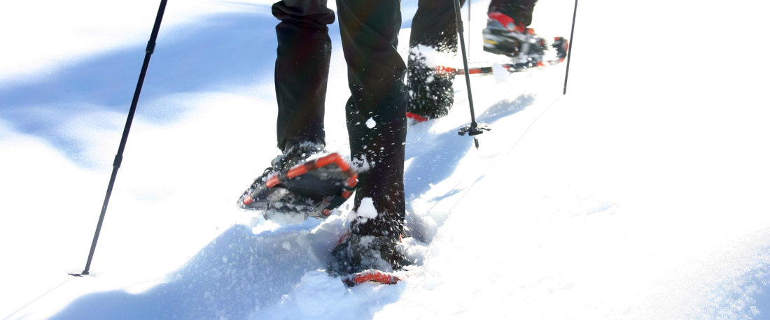 Свобода там, де закінчується стежка: Як обрати снігоступи для зимових Карпат
