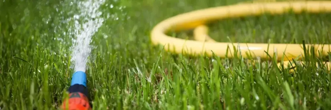 Шланги для поливу