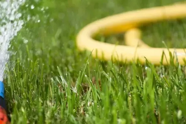 Шланги для поливу