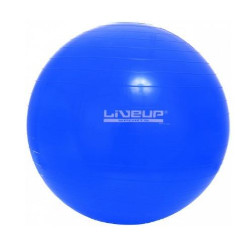 Фітбол LiveUp GYM BALL 65см