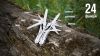 Мультитул Multi Tool Ganzo G202