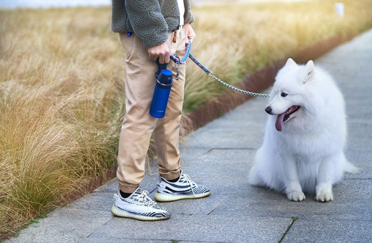 Термокружка ZOJIRUSHI SM-QAF60AK 0.6 л с переноской ц:синий