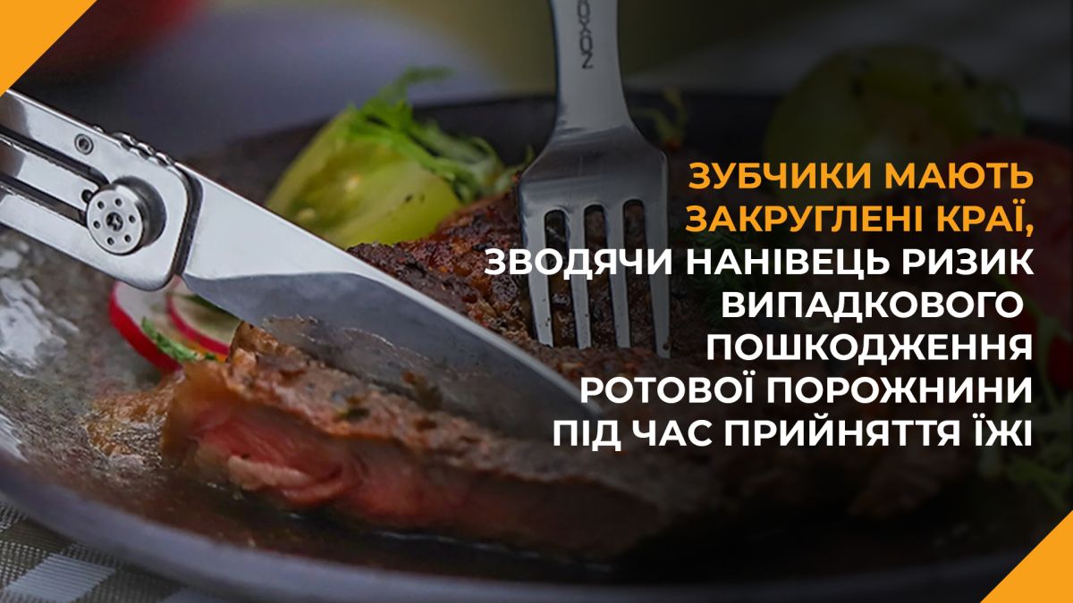 Набір столових приборів Roxon C1S 3 in1 (ложка, виделка, ніж), нержавіюча сталь