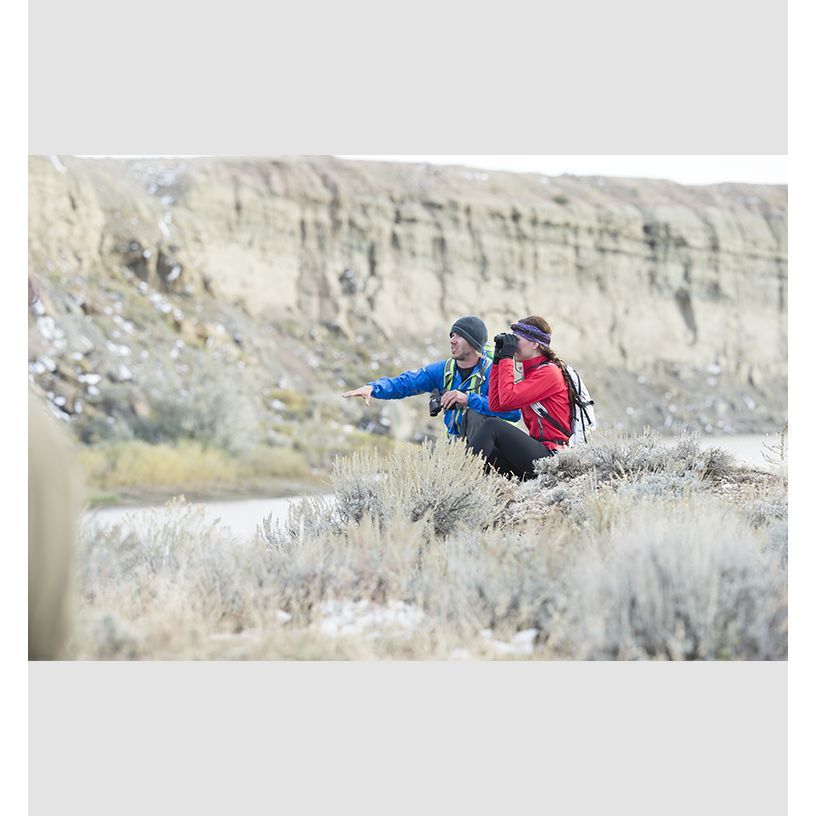 Бінокль Steiner Safari UltraSharp 8x22