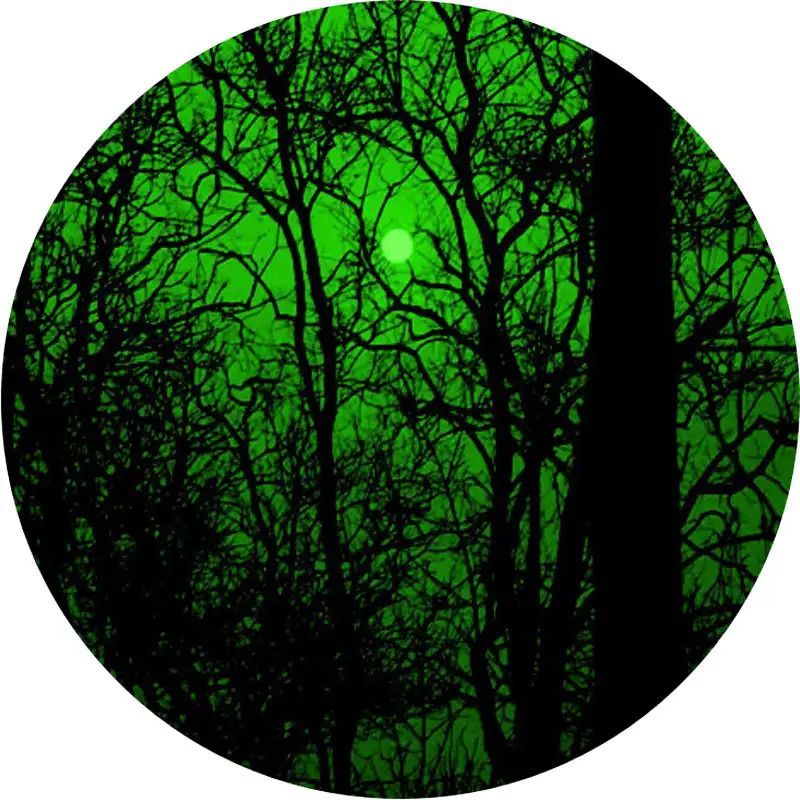 Монокуляр нічного бачення Newcon Optik NVS-14 Gen 2+ (NV 207‐G2)