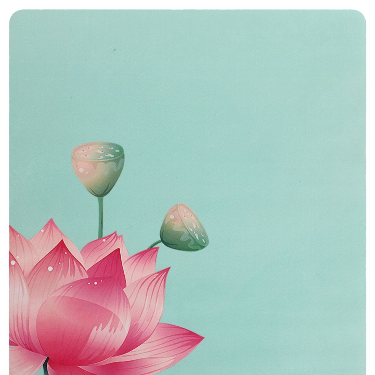 Килимок для йоги замшевий каучуковий двошаровий 3 мм Record FI-5662-27 (бірюзовий, 183х61х0,3см)