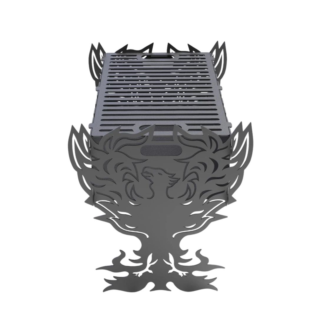 Мангал-гриль Carino Fenix розбірний 536х401х484 мм, метал 3 мм без покриття