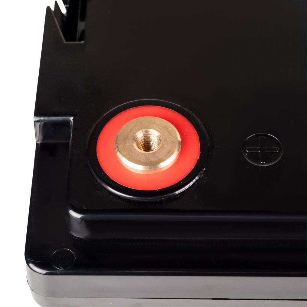 Акумулятор LP LiFePO4 12V (12,8V) - 100 Ah (1280Wh) (Smart BMS 100А) з BT пластик