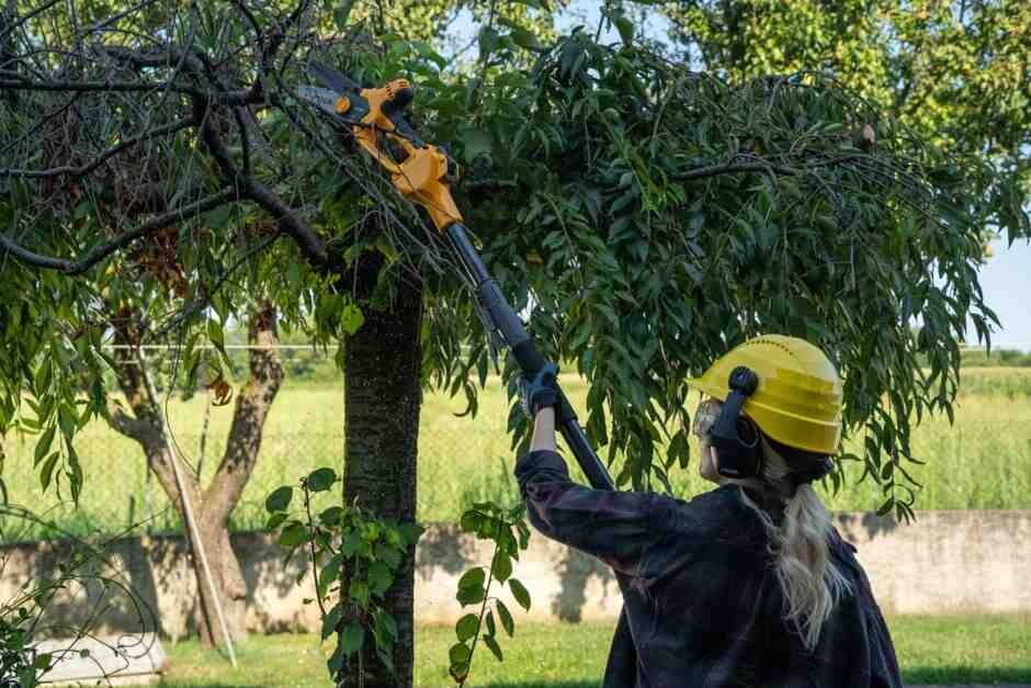 Міні-пилка ланцюгова акумуляторна STIGA PR100eKit